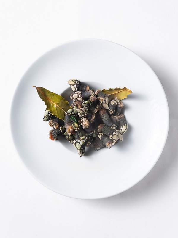 Percebe de las Islas Cíes