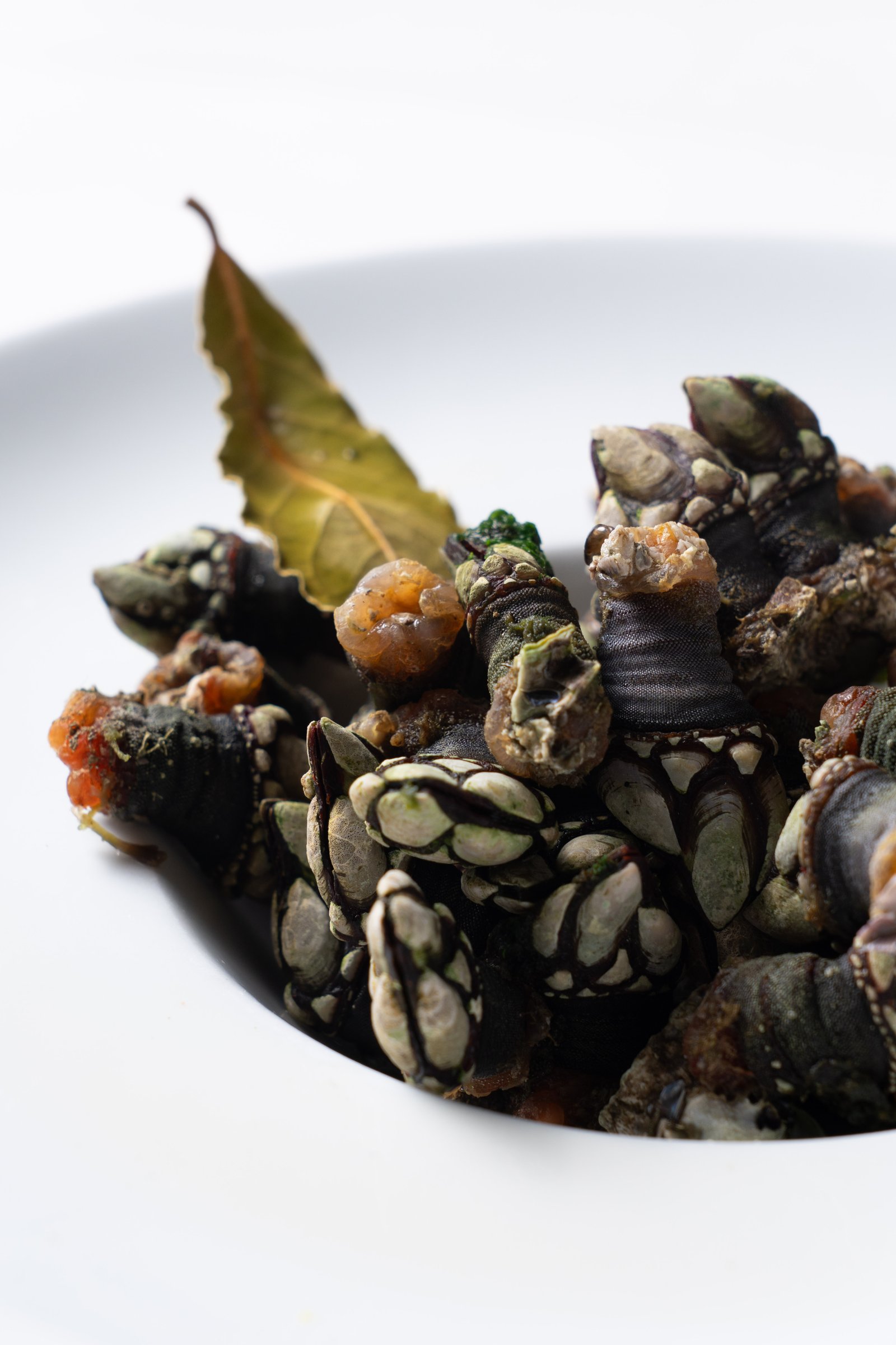 Tarta de queso casera